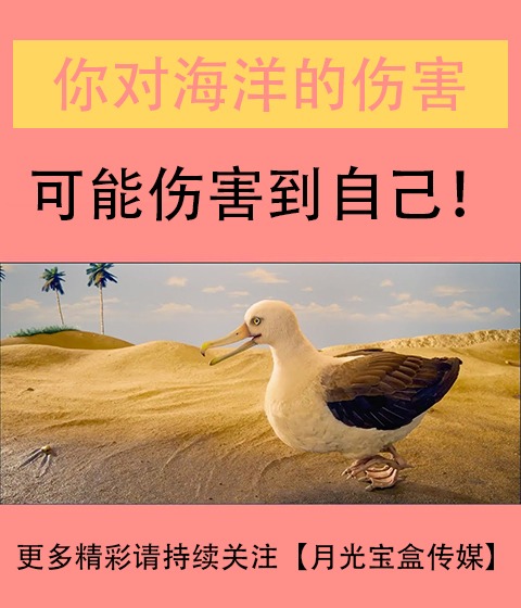 你對海洋的傷害，可能會傷害到自己！